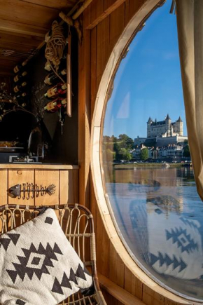 Loire Evasion - Bateau Ecolodge Le Martin Pêcheur
